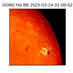 gong - 2025-03-24T01:00:02