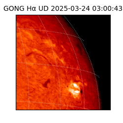 gong - 2025-03-24T03:00:43