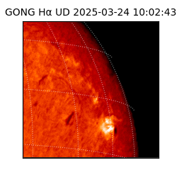 gong - 2025-03-24T10:02:43
