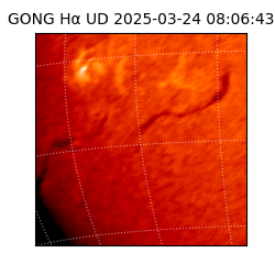 gong - 2025-03-24T08:06:43