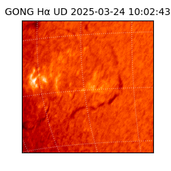 gong - 2025-03-24T10:02:43
