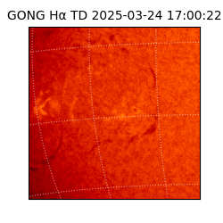 gong - 2025-03-24T17:00:22
