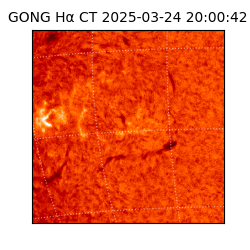 gong - 2025-03-24T20:00:42