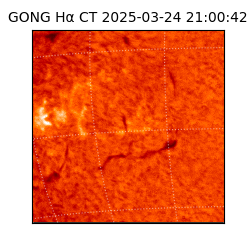 gong - 2025-03-24T21:00:42