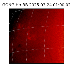 gong - 2025-03-24T01:00:02