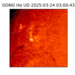 gong - 2025-03-24T03:00:43