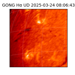 gong - 2025-03-24T08:06:43