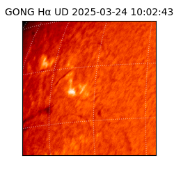 gong - 2025-03-24T10:02:43