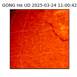 gong - 2025-03-24T11:00:42