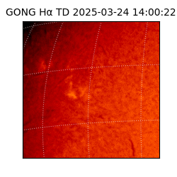 gong - 2025-03-24T14:00:22