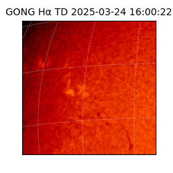 gong - 2025-03-24T16:00:22