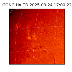 gong - 2025-03-24T17:00:22