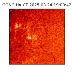 gong - 2025-03-24T19:00:42