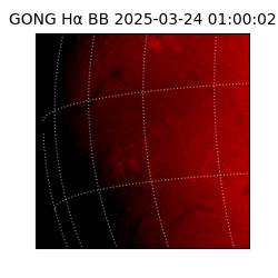 gong - 2025-03-24T01:00:02