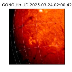 gong - 2025-03-24T02:00:42
