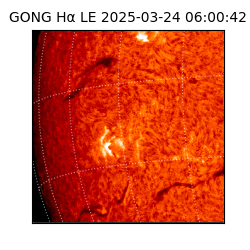 gong - 2025-03-24T06:00:42