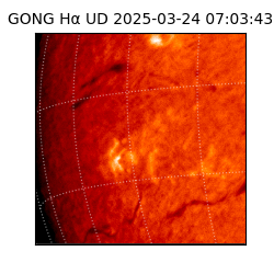 gong - 2025-03-24T07:03:43