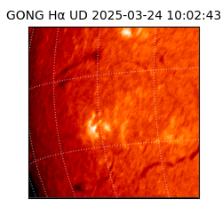 gong - 2025-03-24T10:02:43