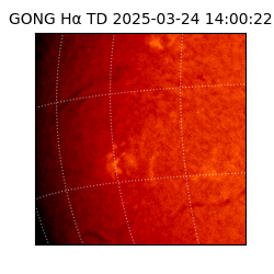 gong - 2025-03-24T14:00:22