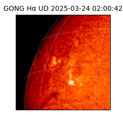 gong - 2025-03-24T02:00:42