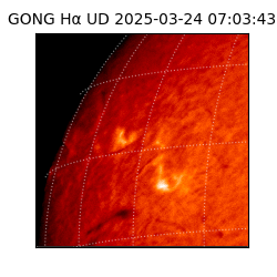gong - 2025-03-24T07:03:43