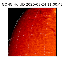 gong - 2025-03-24T11:00:42