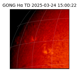 gong - 2025-03-24T15:00:22