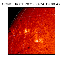 gong - 2025-03-24T19:00:42