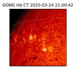 gong - 2025-03-24T21:00:42