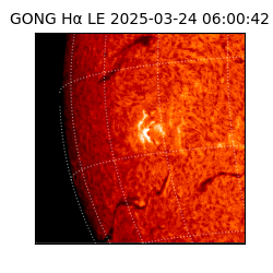 gong - 2025-03-24T06:00:42