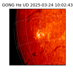 gong - 2025-03-24T10:02:43