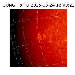 gong - 2025-03-24T16:00:22