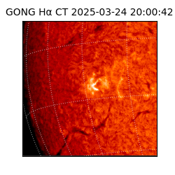 gong - 2025-03-24T20:00:42
