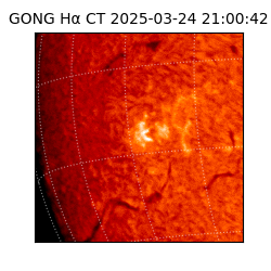 gong - 2025-03-24T21:00:42