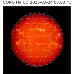 gong - 2025-03-24T07:03:43