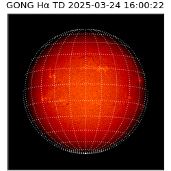 gong - 2025-03-24T16:00:22