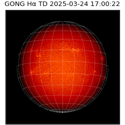 gong - 2025-03-24T17:00:22