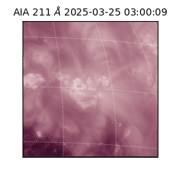 saia - 2025-03-25T03:00:09.630000