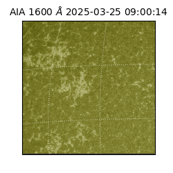 saia - 2025-03-25T09:00:14.130000