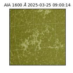 saia - 2025-03-25T09:00:14.130000