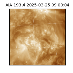 saia - 2025-03-25T09:00:04.843000