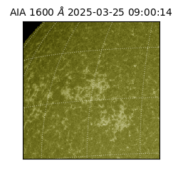 saia - 2025-03-25T09:00:14.130000