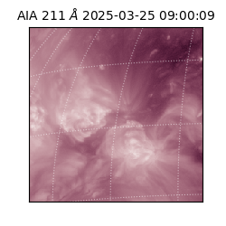 saia - 2025-03-25T09:00:09.626000