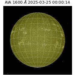 saia - 2025-03-25T00:00:14.126000