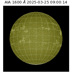 saia - 2025-03-25T09:00:14.130000