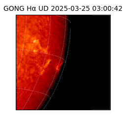 gong - 2025-03-25T03:00:42