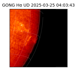 gong - 2025-03-25T04:03:43