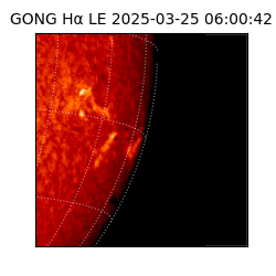 gong - 2025-03-25T06:00:42