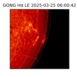gong - 2025-03-25T06:00:42
