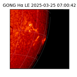 gong - 2025-03-25T07:00:42